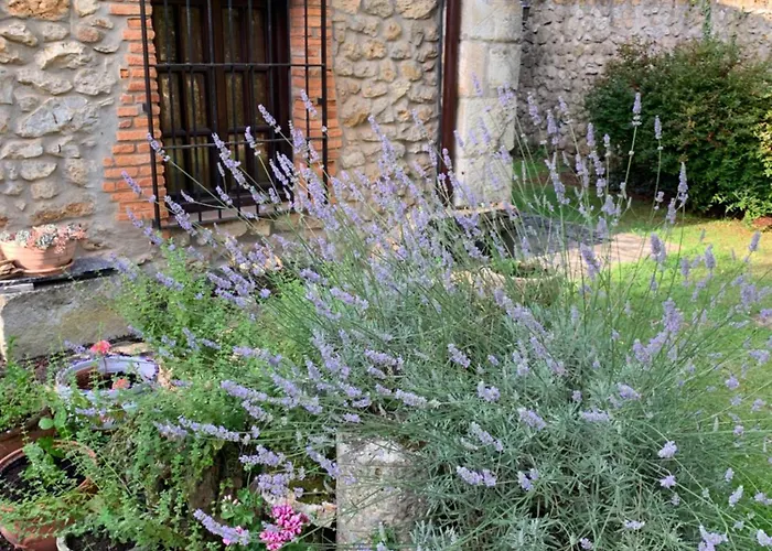 Erre Q Erre 펜션 *